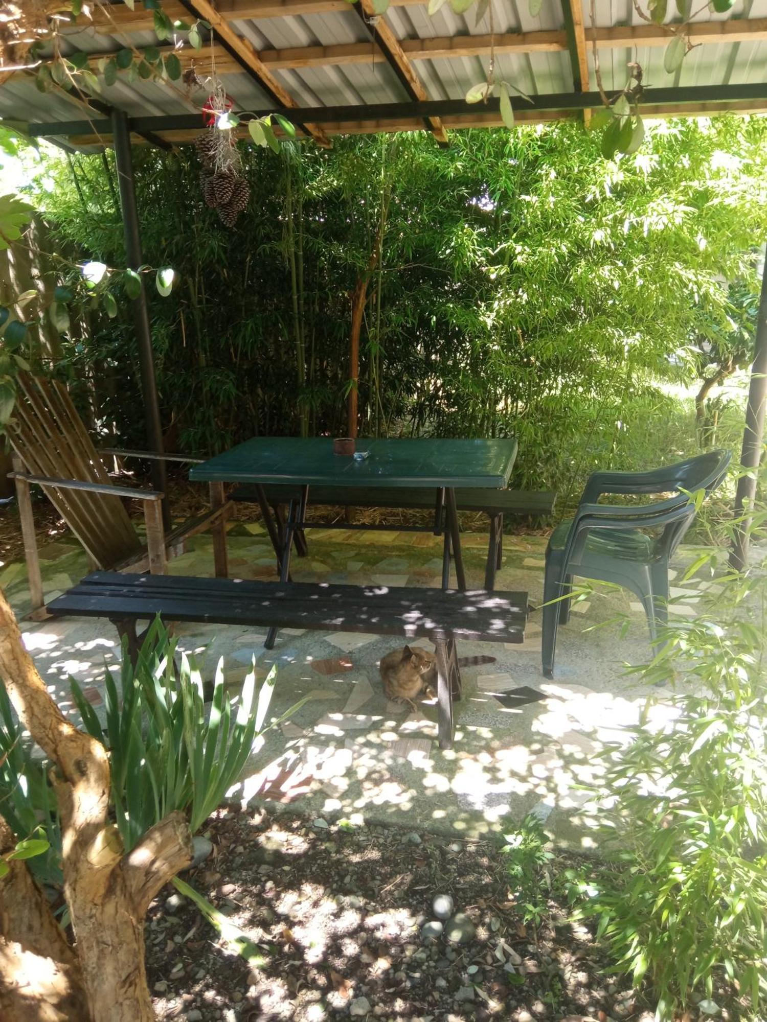 Zaza Hotel Kobuleti Kültér fotó